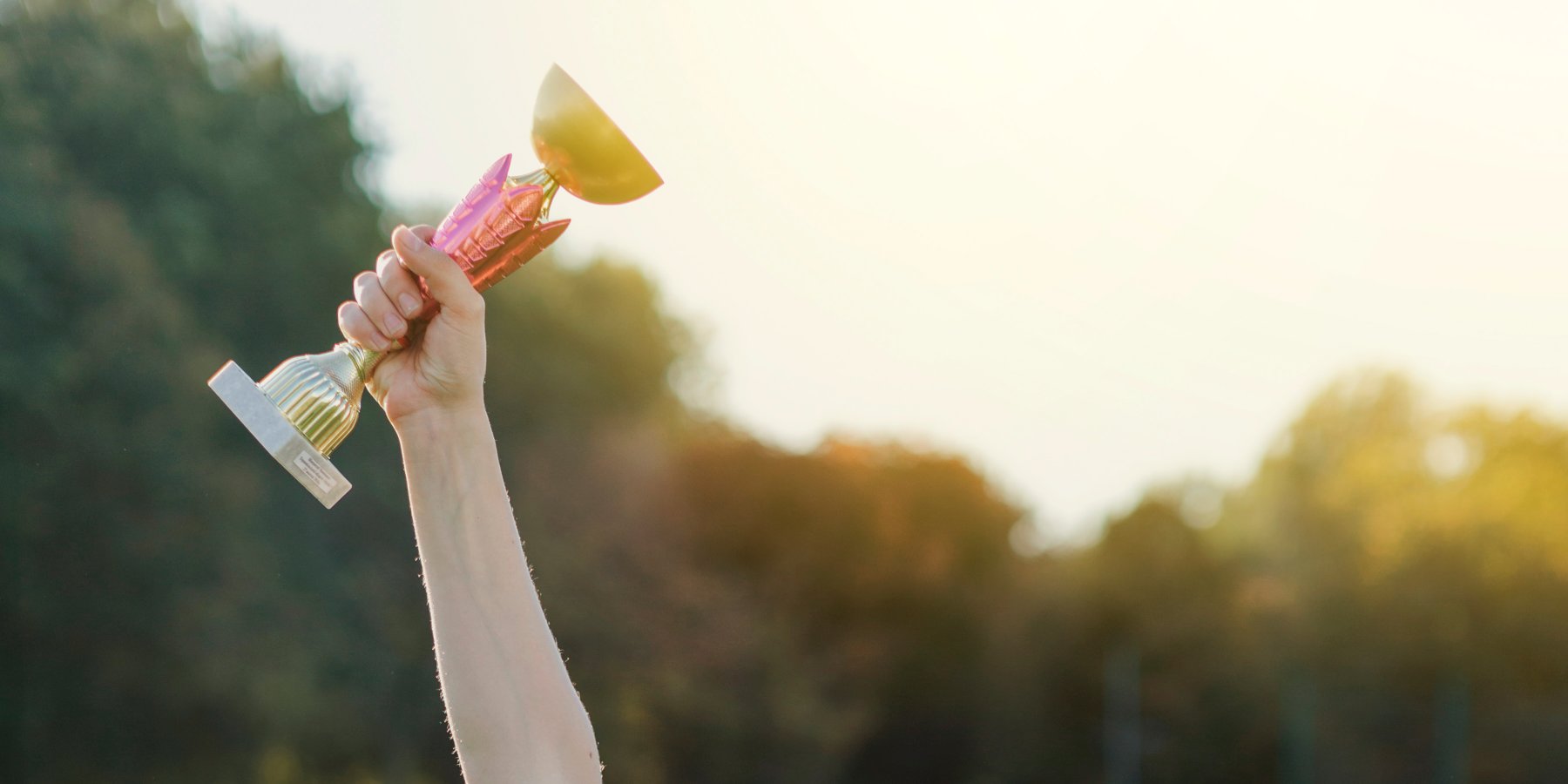 scholarship & prizes